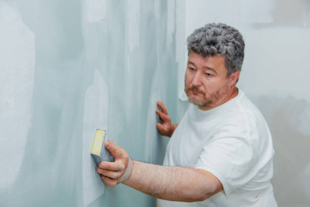 Reliable Fellsmere, FL Mold Removal Solutions