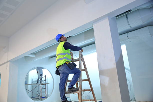 Best Post-Construction Mold Inspection  in Fellsmere, FL